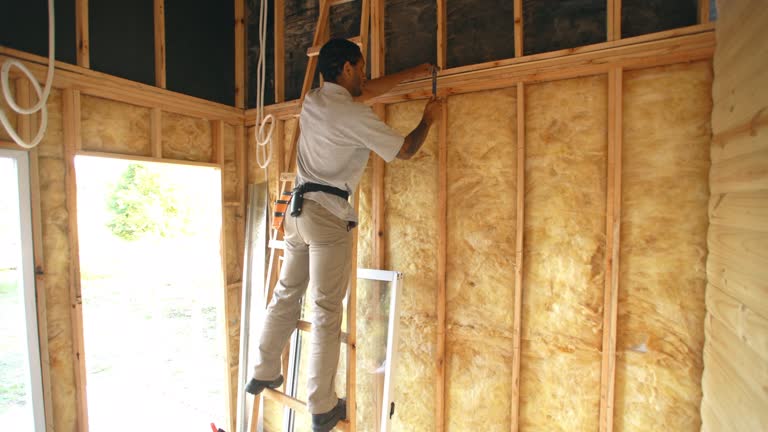 Best Basement Insulation  in Corrigan, TX